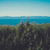 一站式解决方案的24小时轰炸对方的电话软件